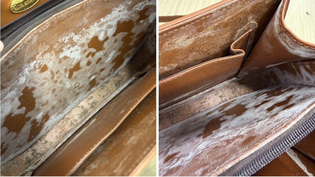 カビが発生してしまったクロコダイルバッグの内側